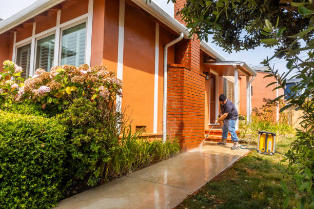 Best Pressure Washing Siding  in Ivins, UT